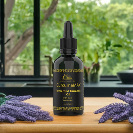 CurcumaMAX Fermented Turmeric Oil 50ml – Enhanced Curcumin, Lead-Free, Internal & Topical