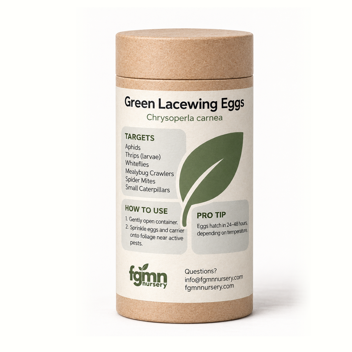 Green Lacewing Eggs