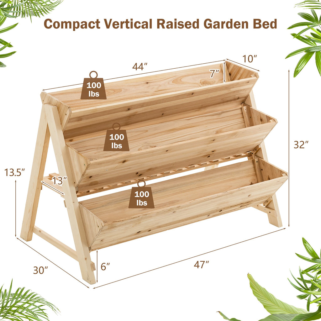 outdoor patio garden