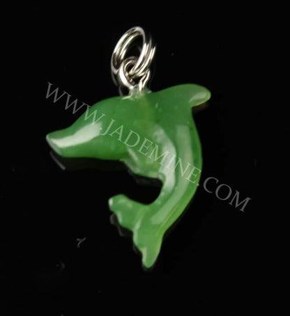 Charm, Dolphin