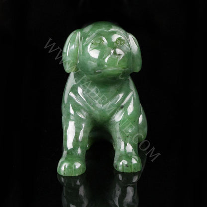 Dog, Lab