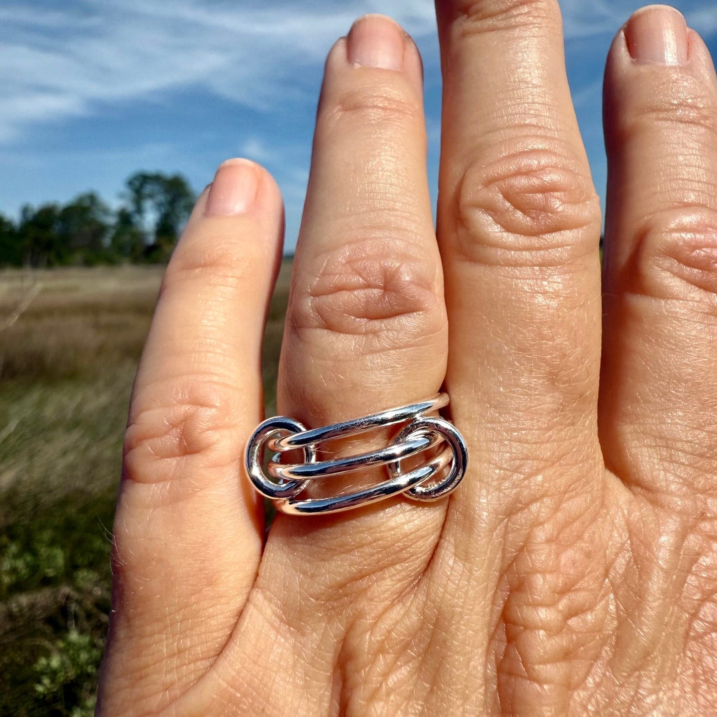 Interlocking Rings