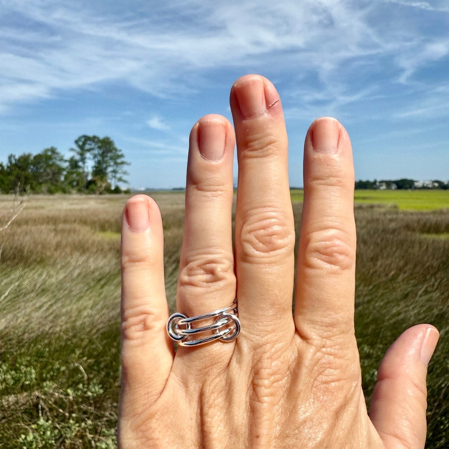 Interlocking Rings