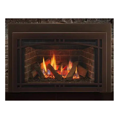 Majestic Ruby 25-Inch Direct Vent Insert [RUBY25IN/IL] (SAK78432)
