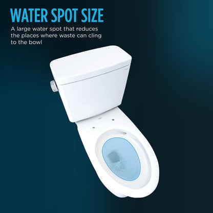 [MW7763084CSFG.10#01] TOTO Drake 1.6 GPF ELongated Chair Height Toilet With C5 Soft Close Bidet Seat (SAK71312)