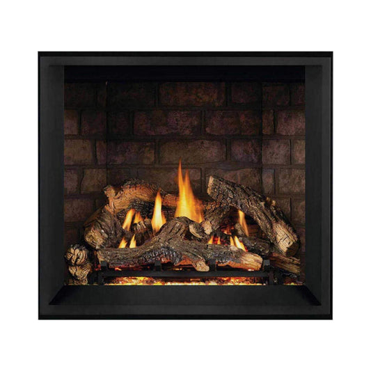 Napoleon Elevation X 42 44-Inch Direct Vent Electronic Ignition Propane Gas Fireplace [EX42N/PTEL] (SAK83652)