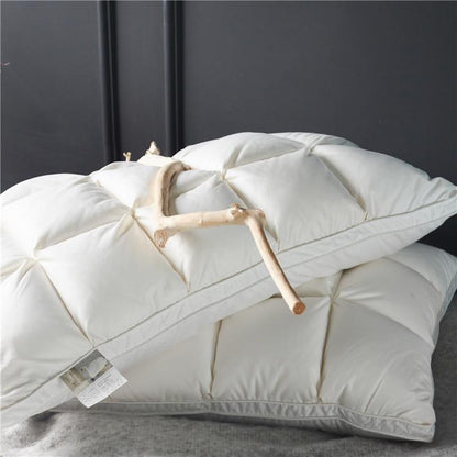 Giancarlo Goose Down Filling Pillows Set of 2