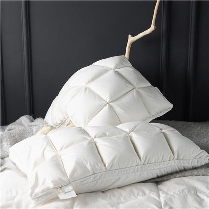 Giancarlo Goose Down Filling Pillows Set of 2