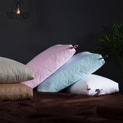 Giovanni Goose Down Pillows Cotton Made Set of 2