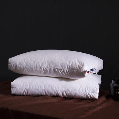Giovanni Goose Down Pillows Cotton Made Set of 2