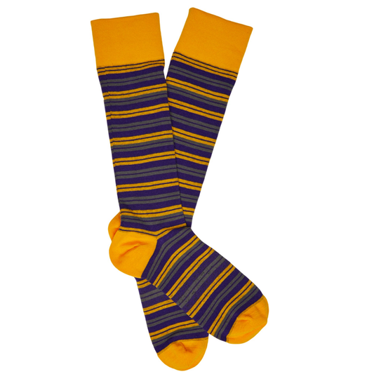 Purple and Gold - Double Stripe