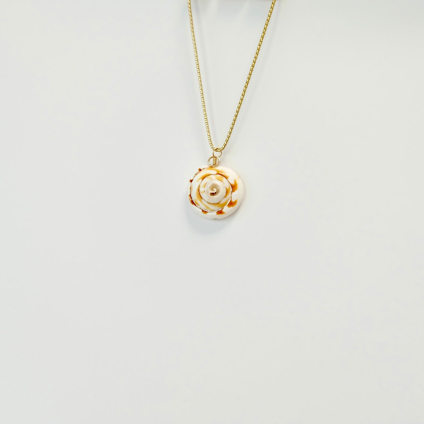 Shell Charms
