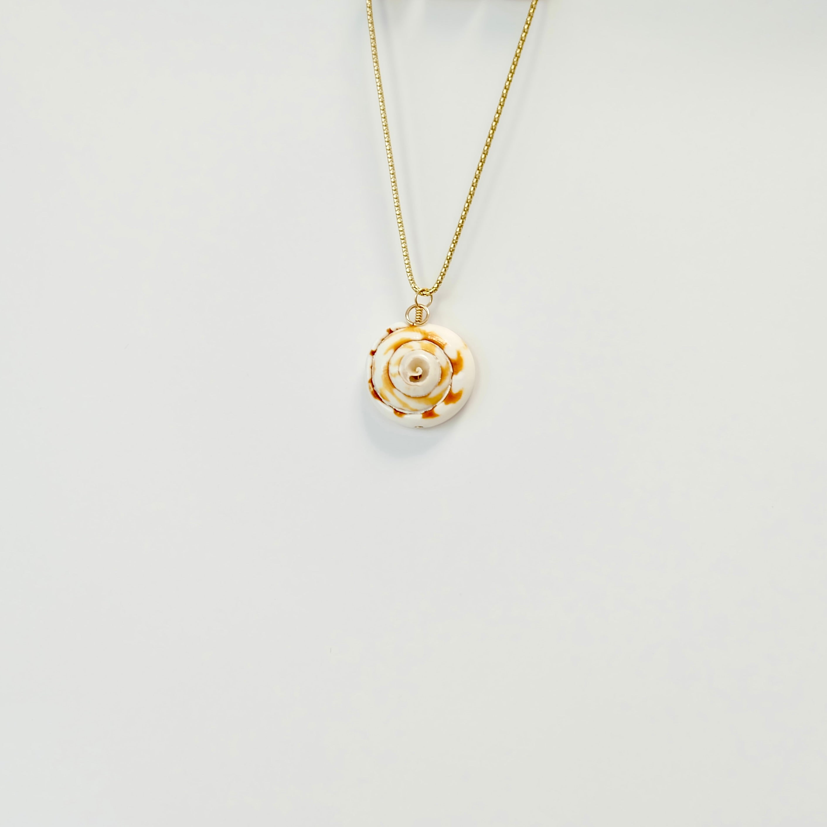 Shell Charms