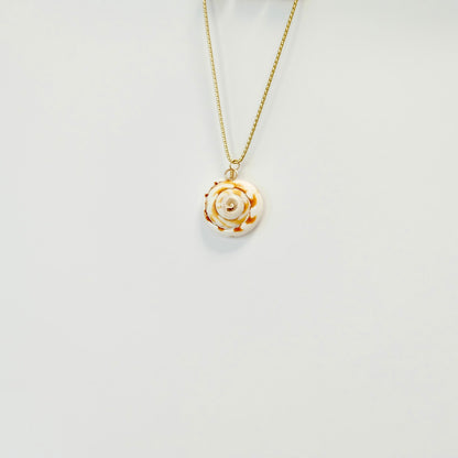 Shell Charms