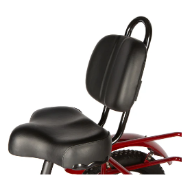 New Trike 2.0