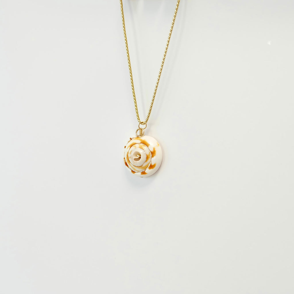 Shell Charms