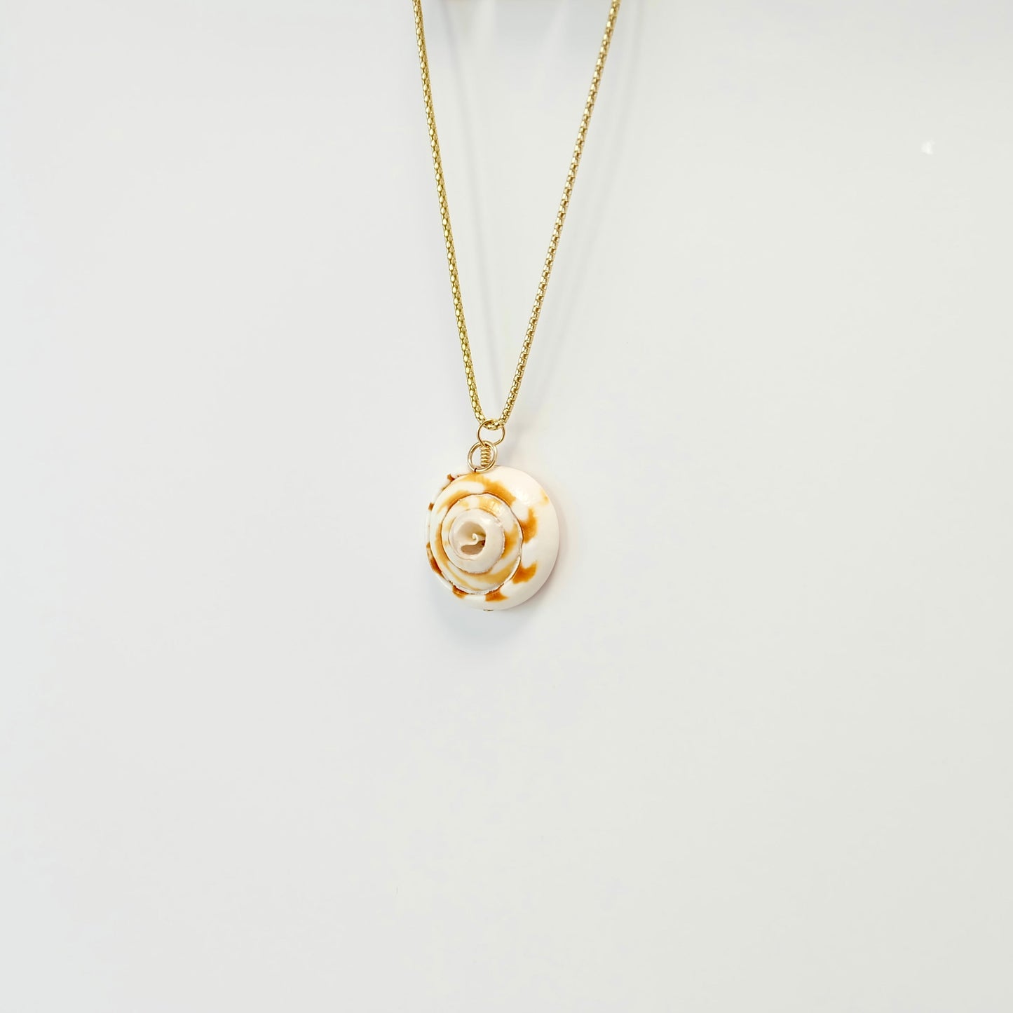 Shell Charms