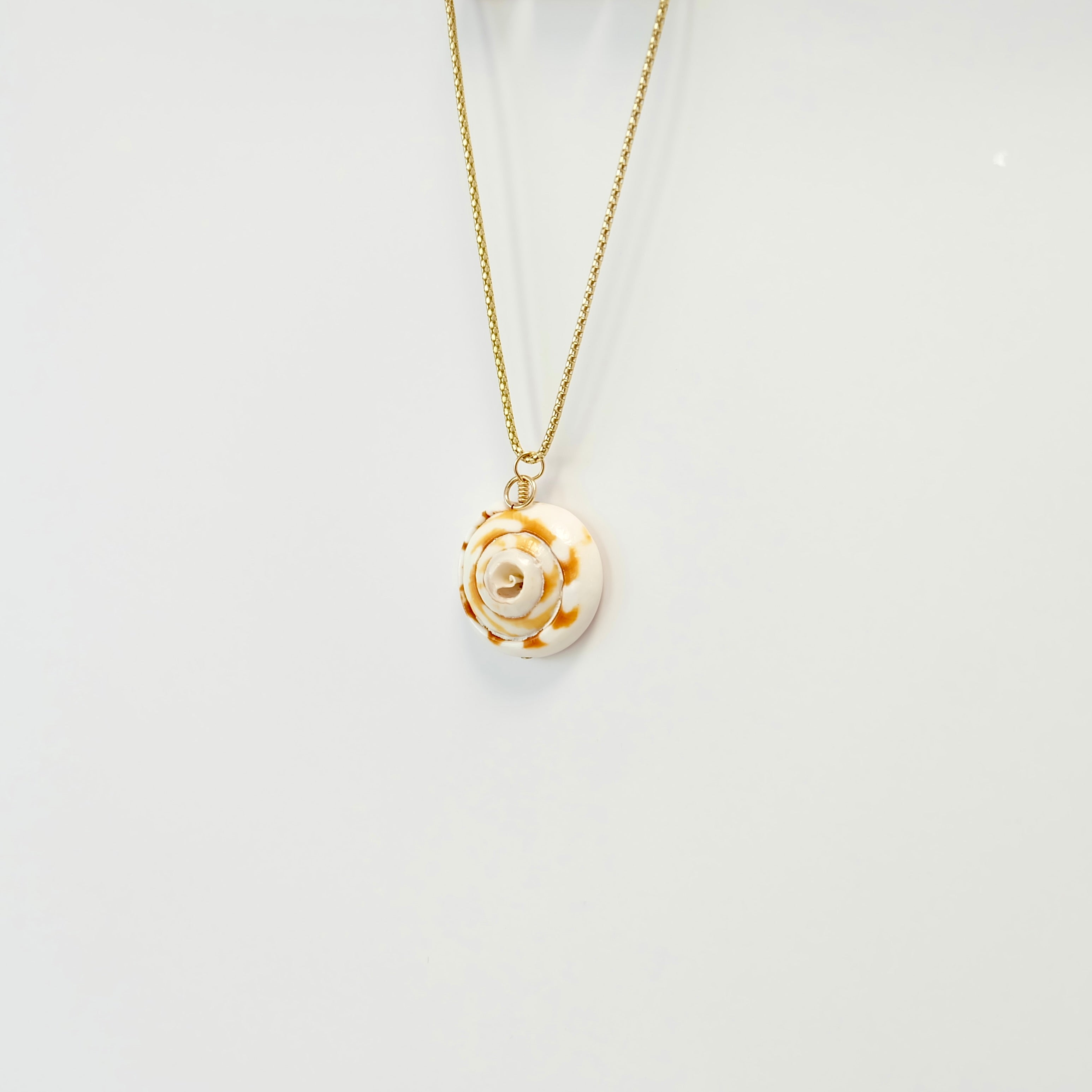 Shell Charms