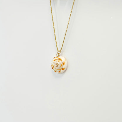 Shell Charms