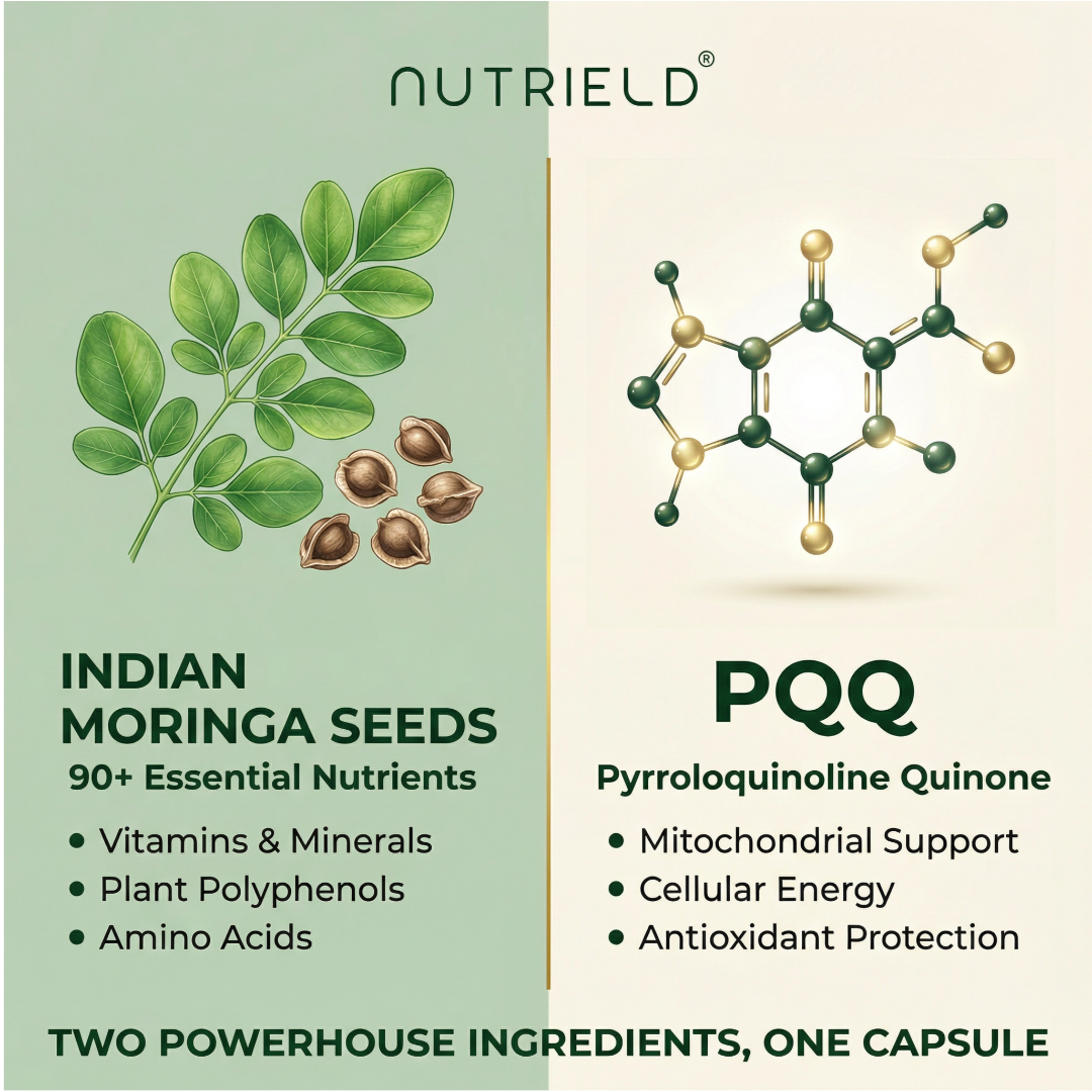 Moringa+PQQ
