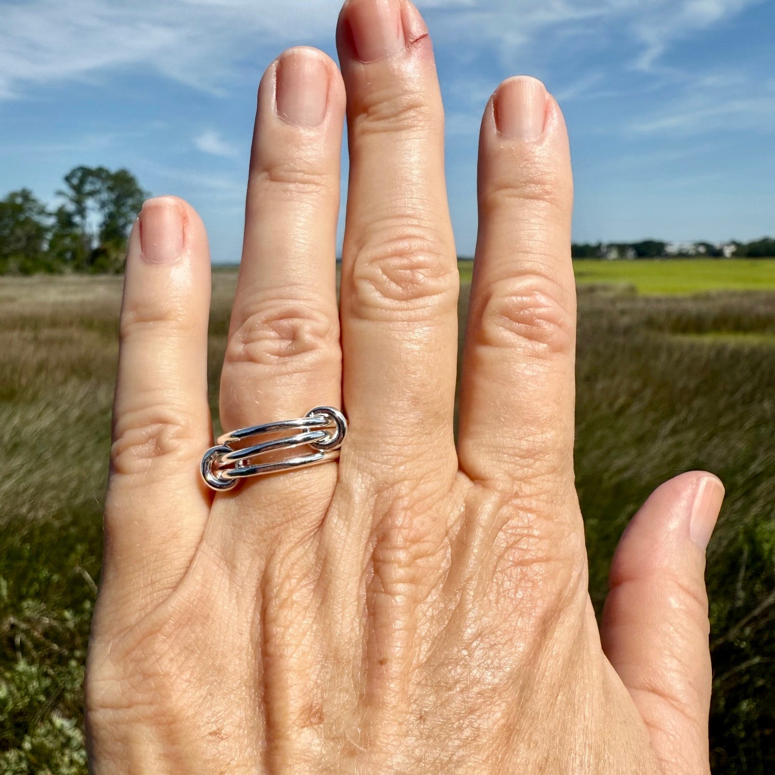 Interlocking Rings