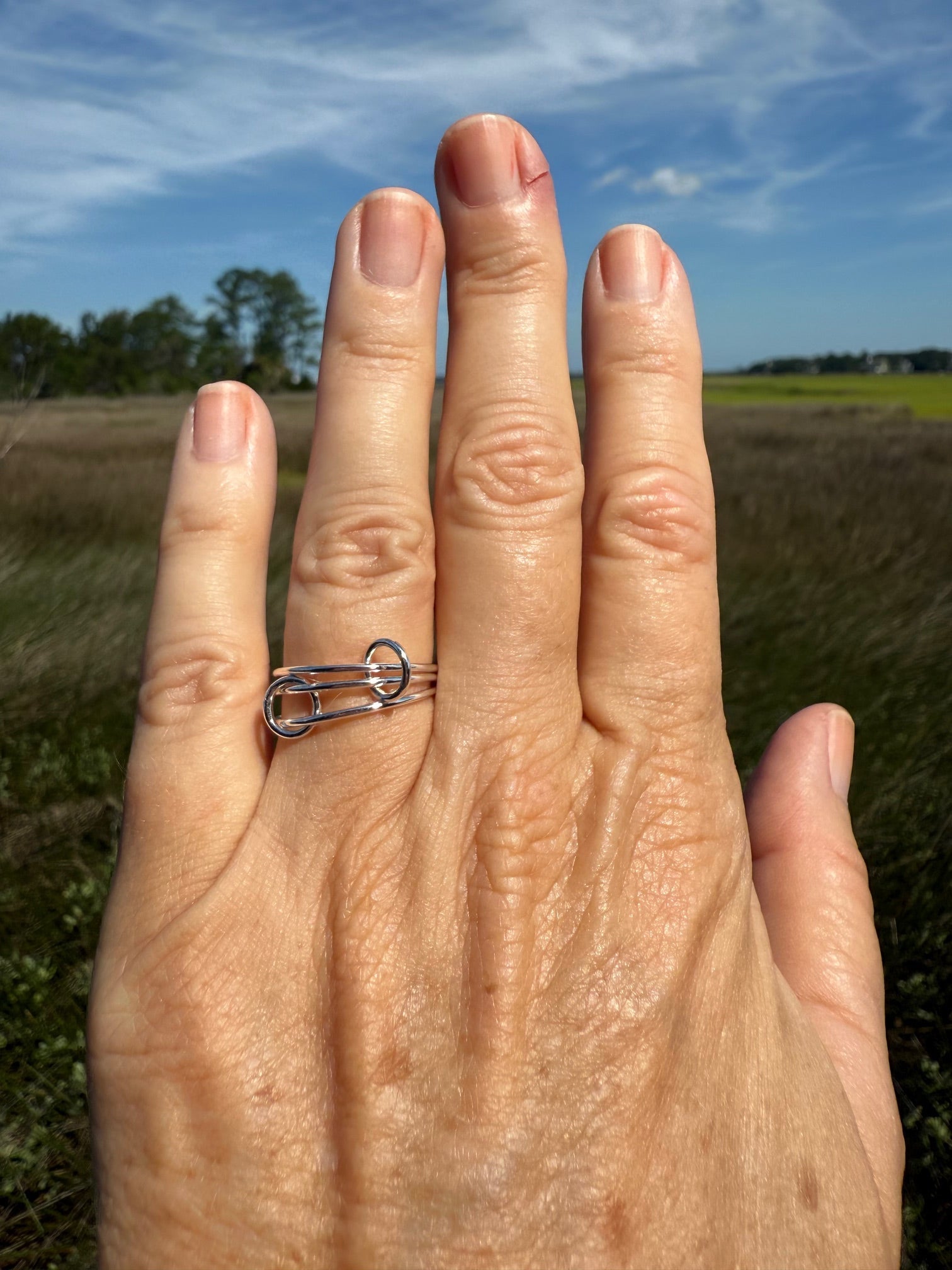 Interlocking Rings