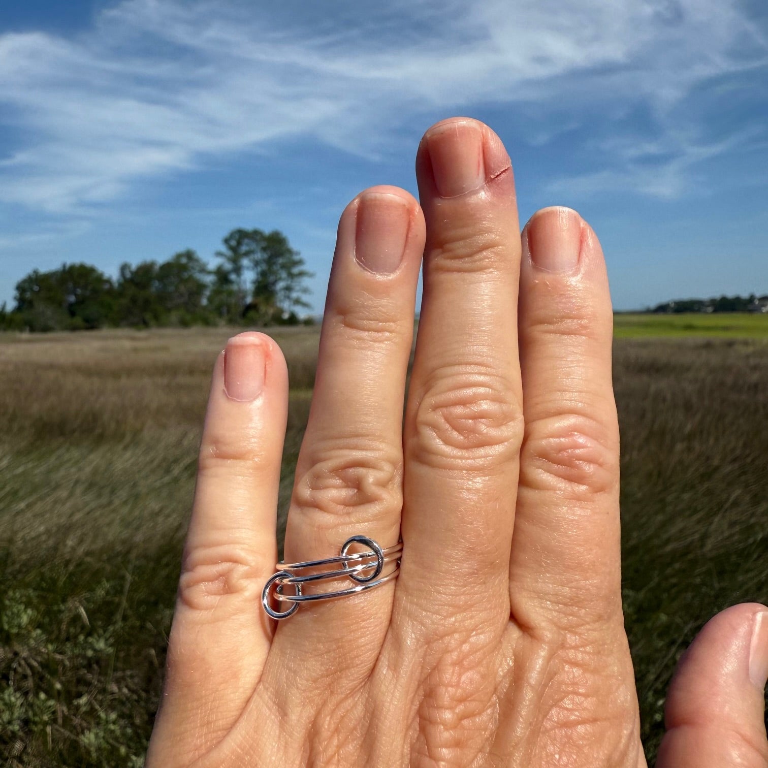 Interlocking Rings
