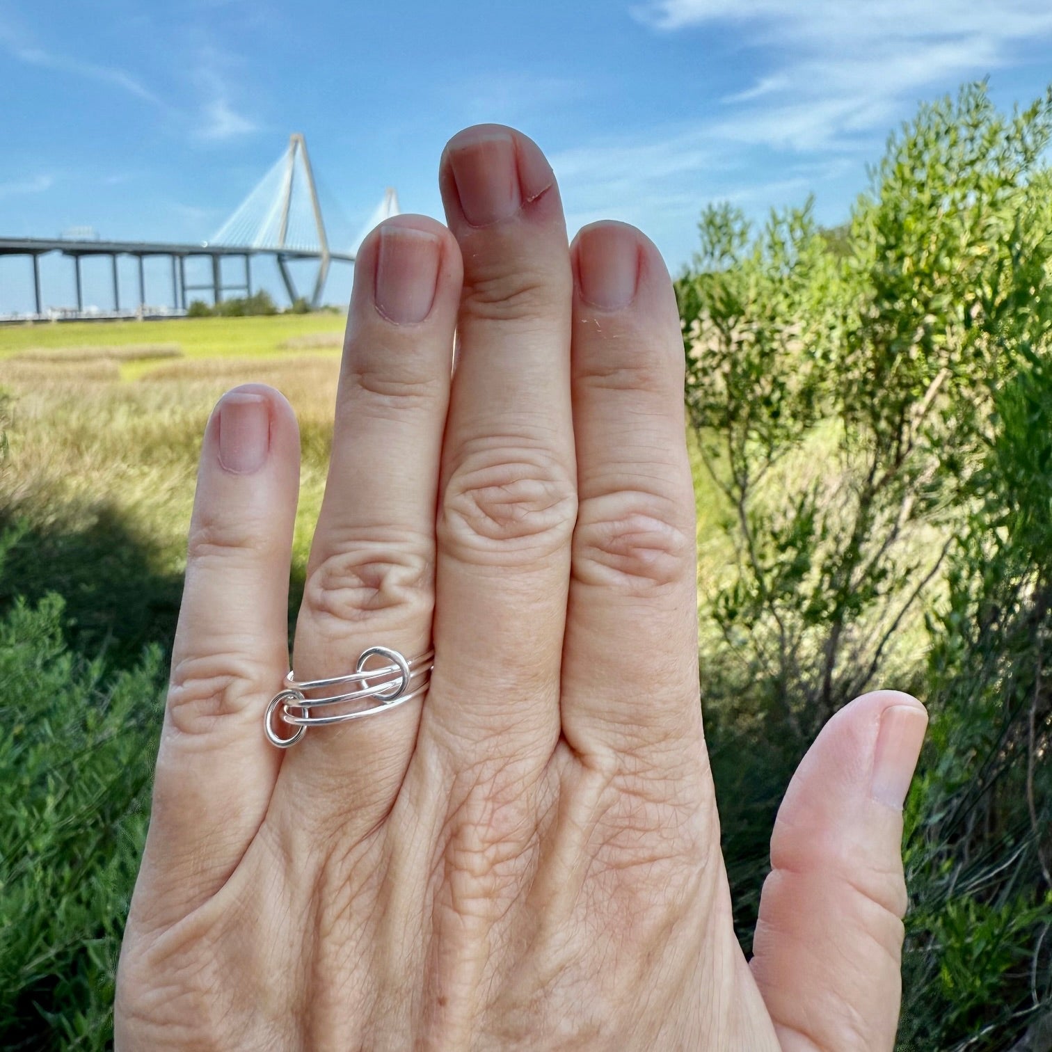 Interlocking Rings