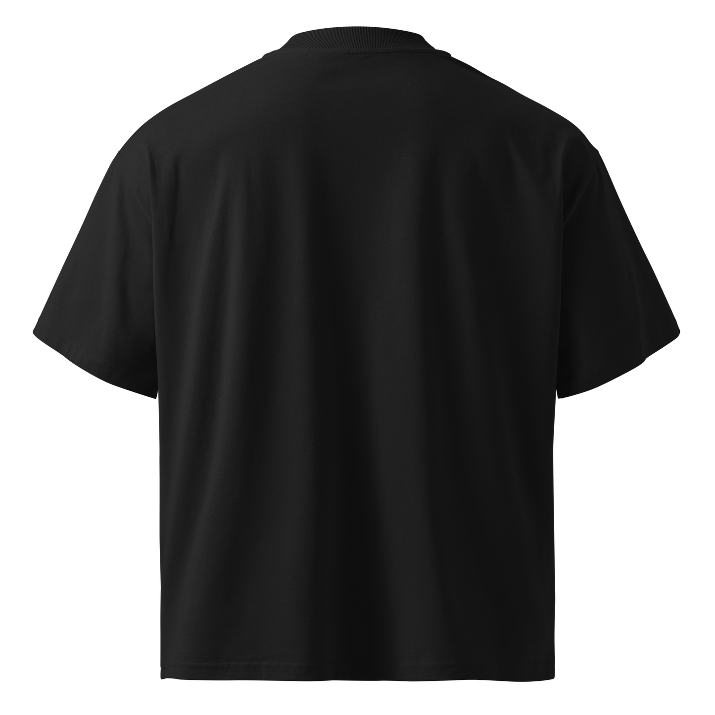 Privacy Is Power – Oversized Organic High-Neck T-Shirt