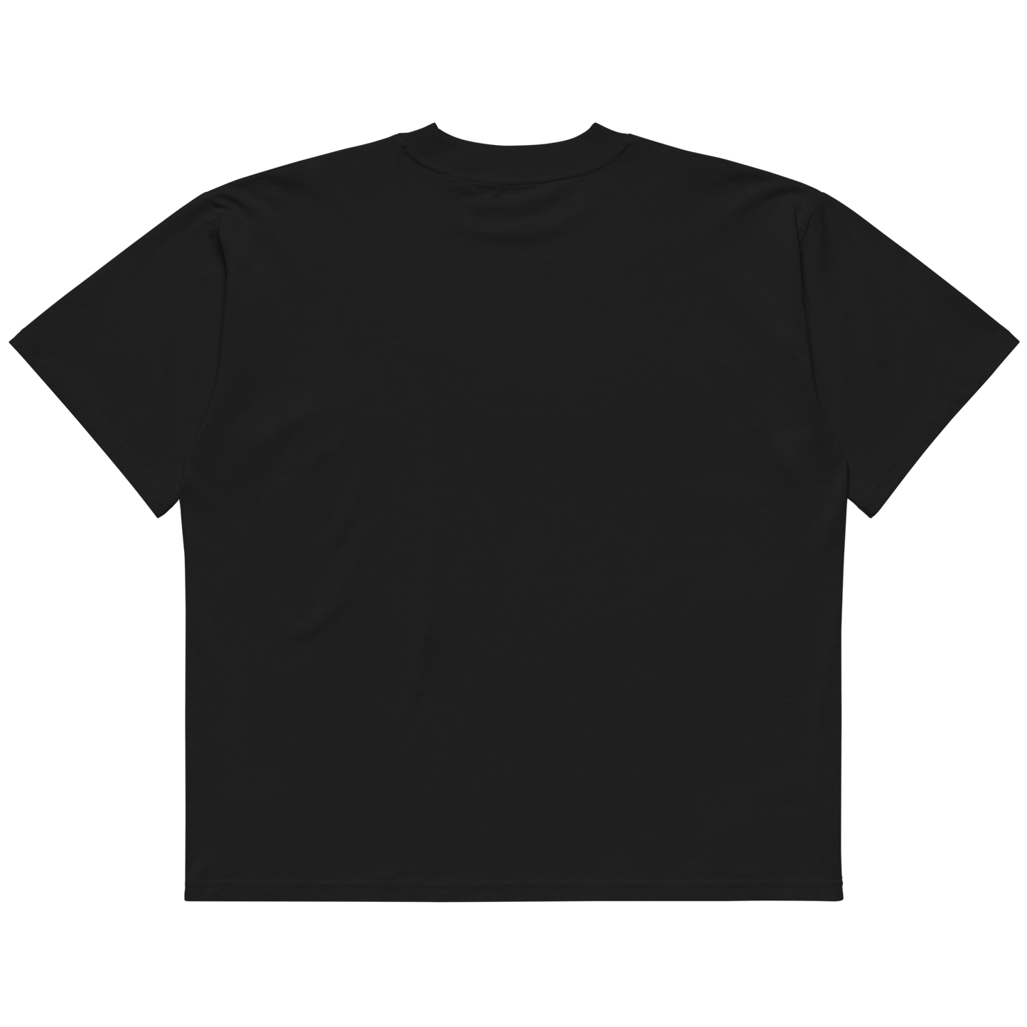 STS “Stay Hidden Stay Secure” Cybersecurity Oversized Organic High-Neck T-Shirt