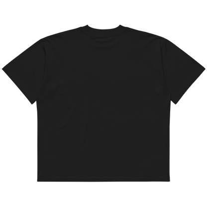 STS “Stay Hidden Stay Secure” Cybersecurity Oversized Organic High-Neck T-Shirt