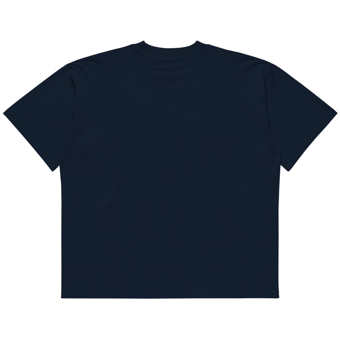 STS “Stay Hidden Stay Secure” Cybersecurity Oversized Organic High-Neck T-Shirt