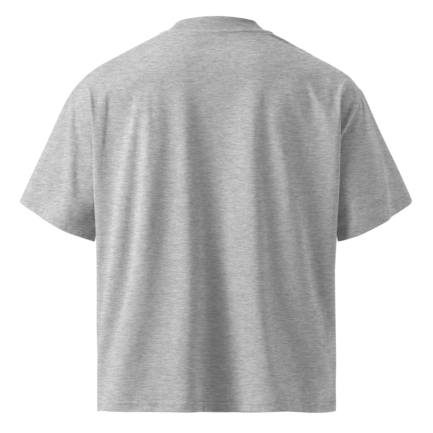 Privacy Is Power – Oversized Organic High-Neck T-Shirt