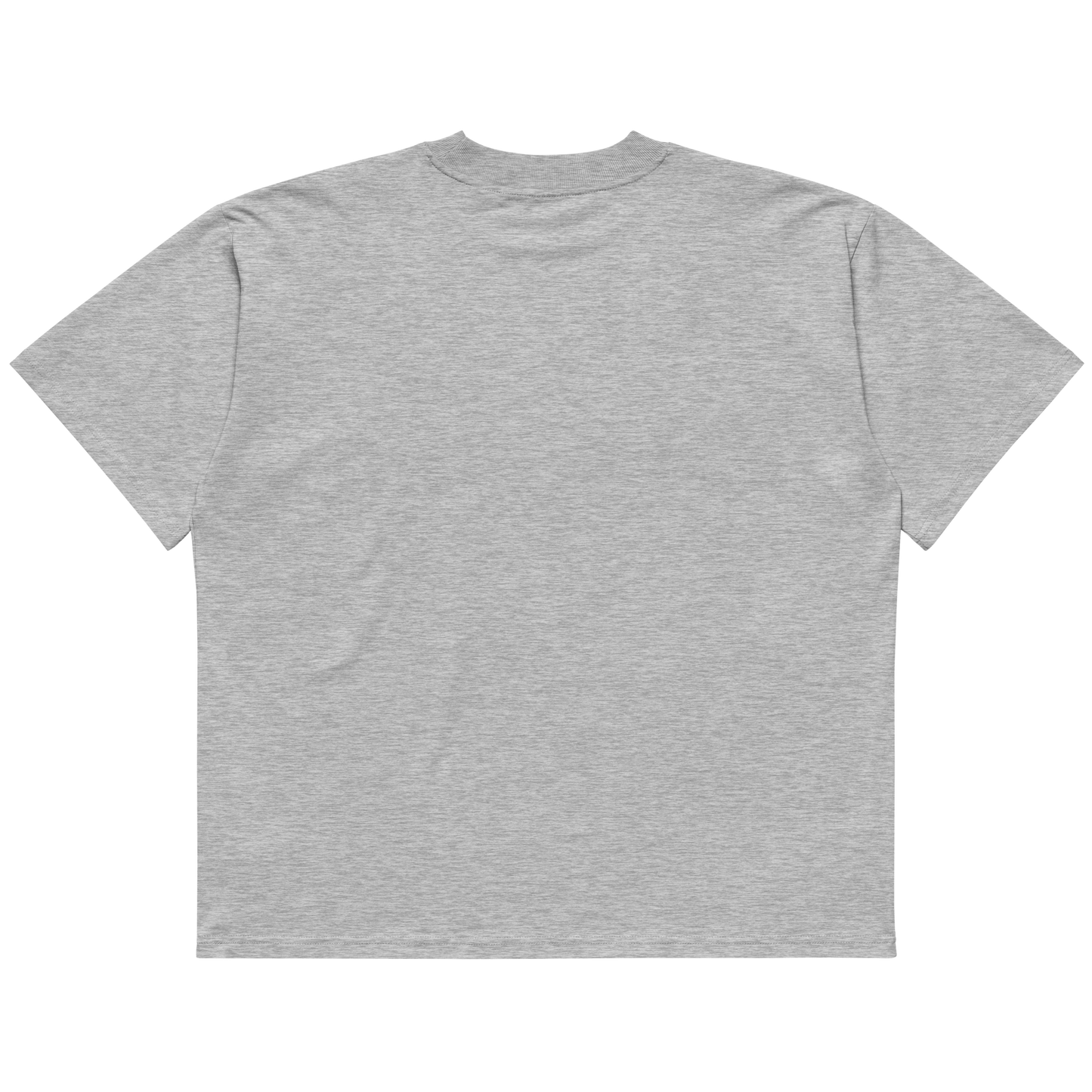 STS “Stay Hidden Stay Secure” Cybersecurity Oversized Organic High-Neck T-Shirt