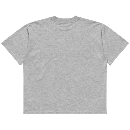 STS “Stay Hidden Stay Secure” Cybersecurity Oversized Organic High-Neck T-Shirt