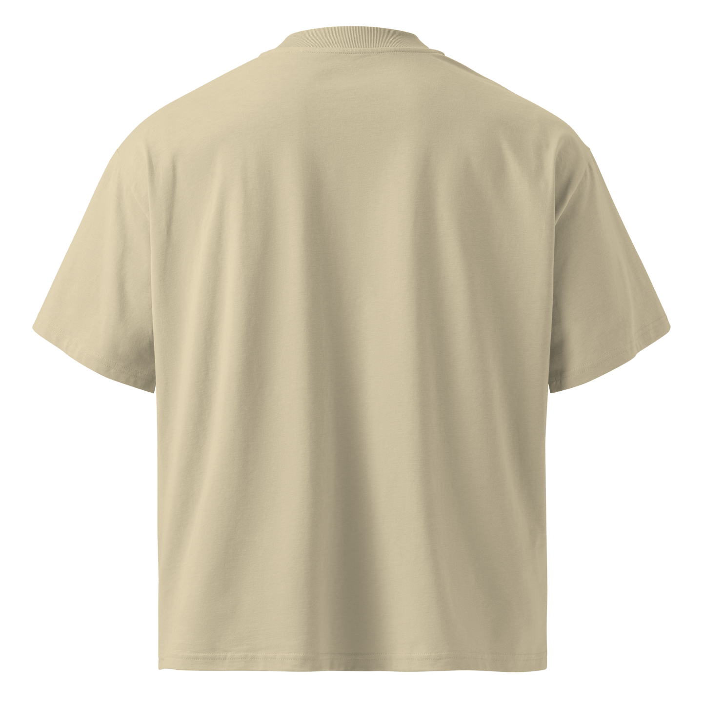 Privacy Is Power – Oversized Organic High-Neck T-Shirt