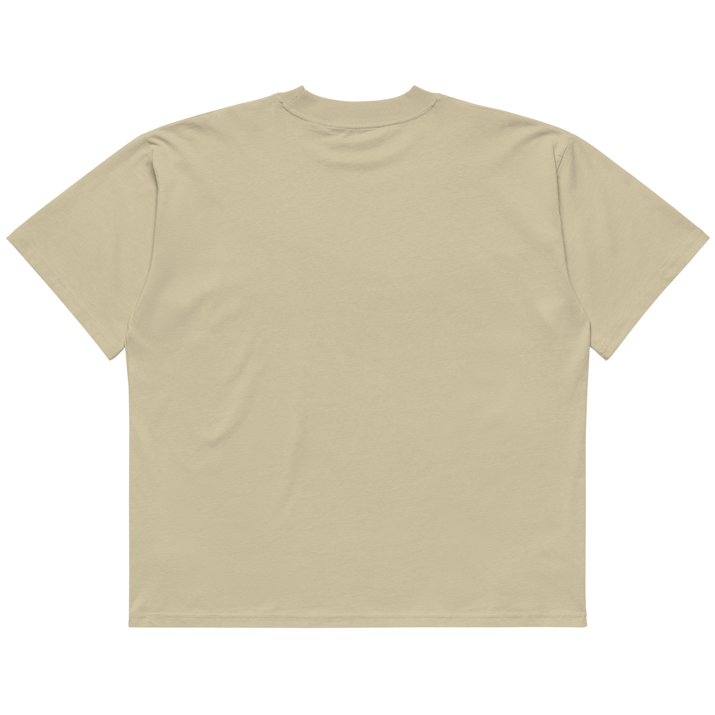 STS “Stay Hidden Stay Secure” Cybersecurity Oversized Organic High-Neck T-Shirt