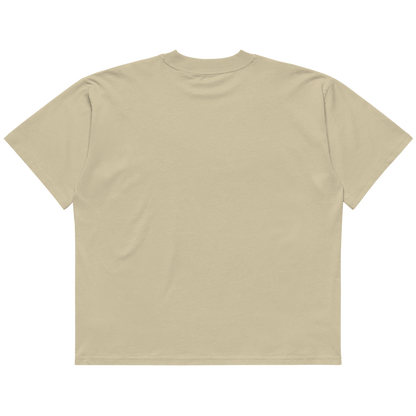 STS “Stay Hidden Stay Secure” Cybersecurity Oversized Organic High-Neck T-Shirt