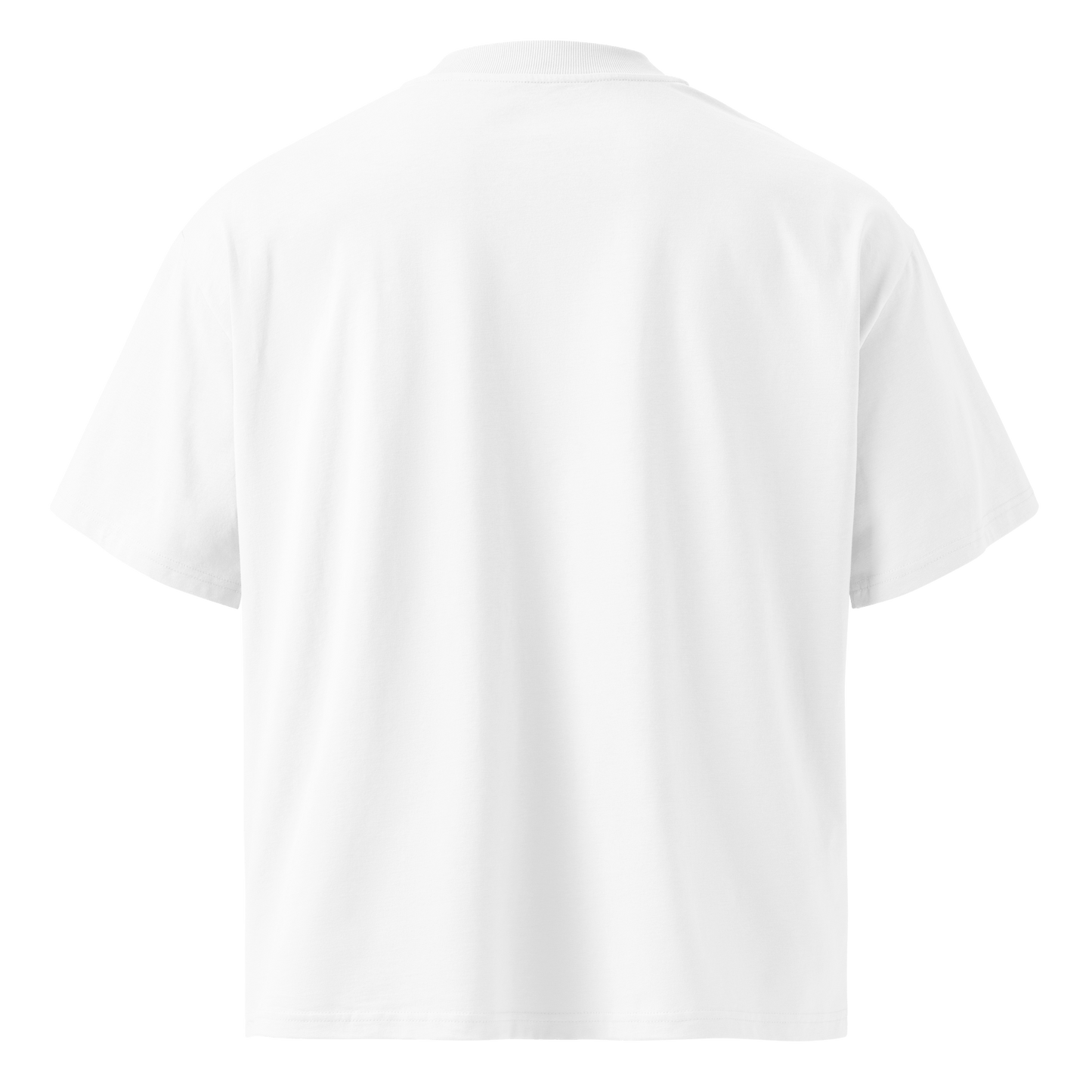 Hack The Planet – Oversized Organic High-Neck T-Shirt