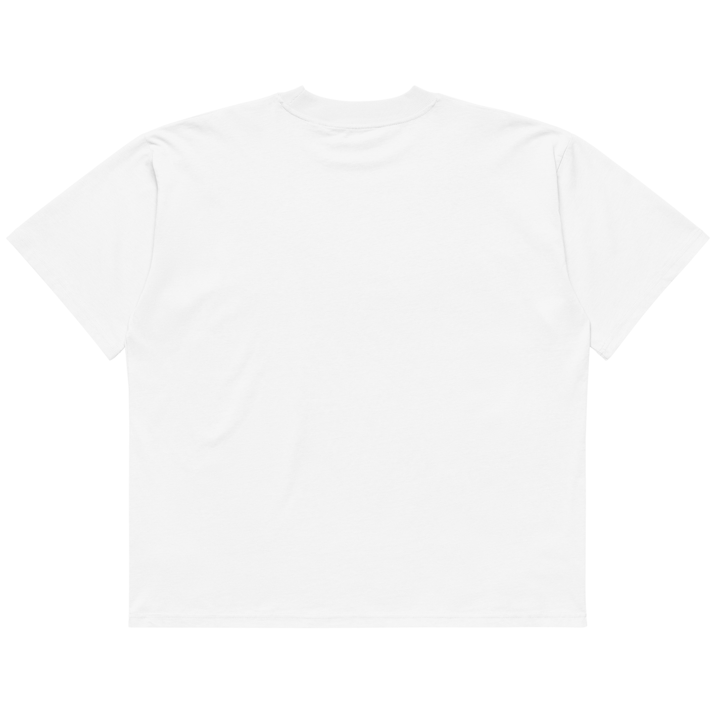 STS “Stay Hidden Stay Secure” Cybersecurity Oversized Organic High-Neck T-Shirt