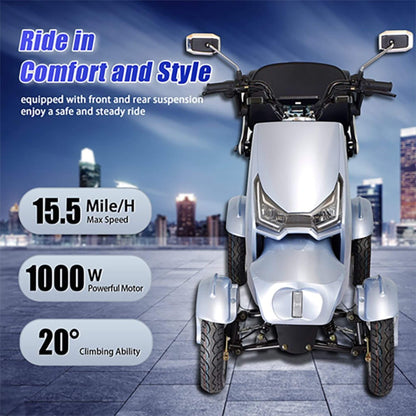 Zvg Heavy-Duty 1000W 60V/20AH 330LBS Four-Wheel All-Terrain Travel Mobility Scooter [SN-4L] (SAK97245)